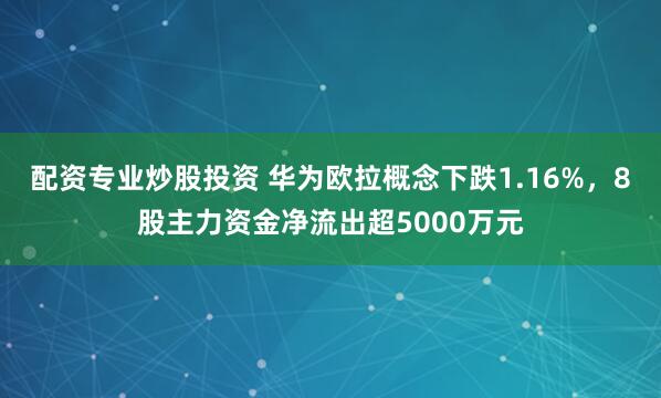 配资专业炒股投资 华为欧拉概念下跌1.16%，8股主力资金净流出超5000万元